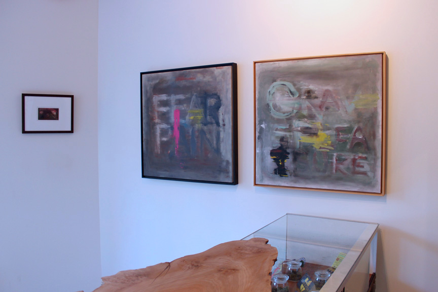 Lam Wong: PAIN & PLEASURE, 2015